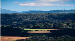 #1763 - Terreno para Venta en Pátzcuaro - MN