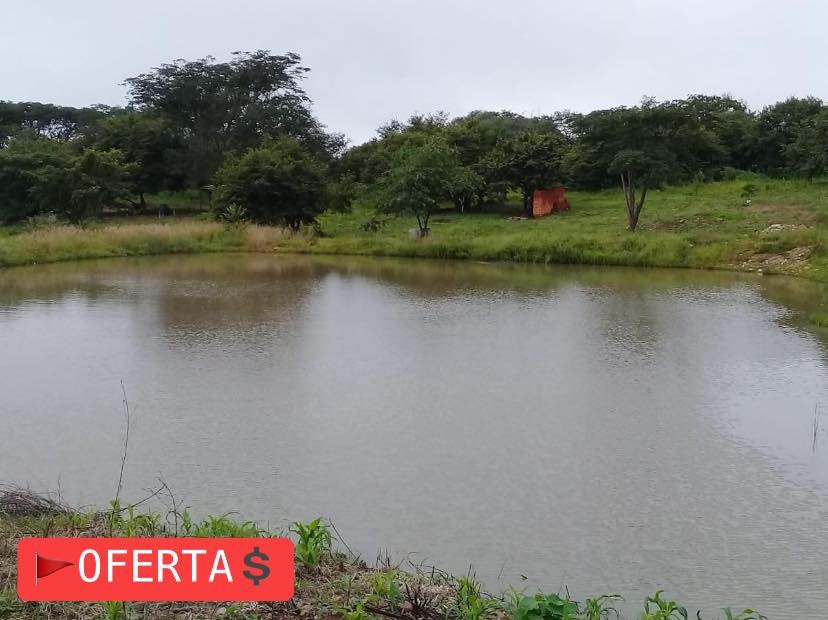 #1921 - Área para Venta en Cuauhtémoc - CL