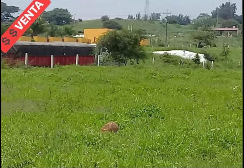 #2296 - Área para Venta en Cuauhtémoc - CL