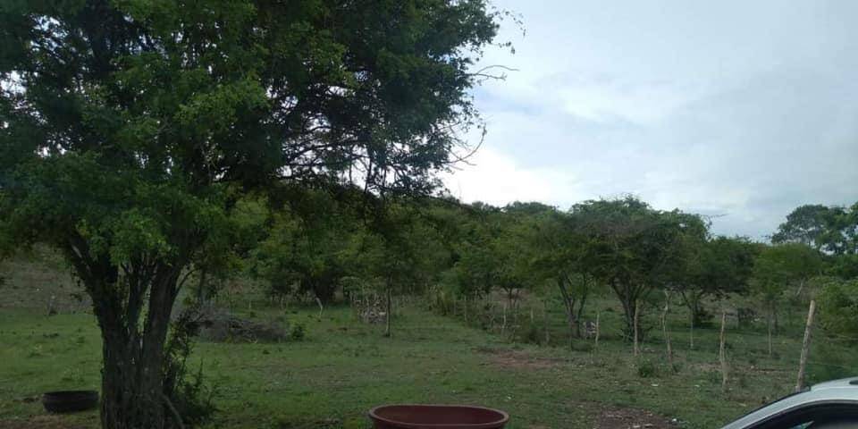 #2336 - Área para Venta en Colima - CL