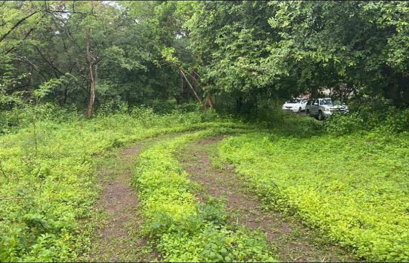 #2922 - Terreno para Venta en Colima - CL