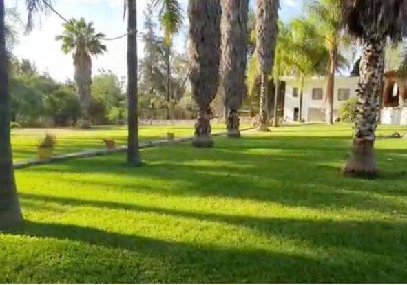 #2967 - Terreno para Venta en Zapotlanejo - JC