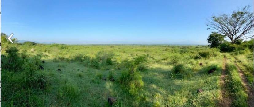 #2968 - Terreno para Venta en Colima - CL