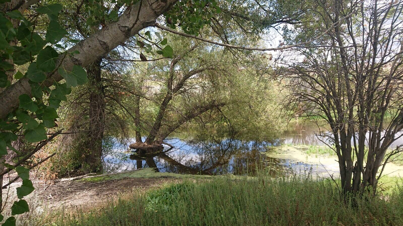 #4226 - Terreno para Venta en Tecate - BC