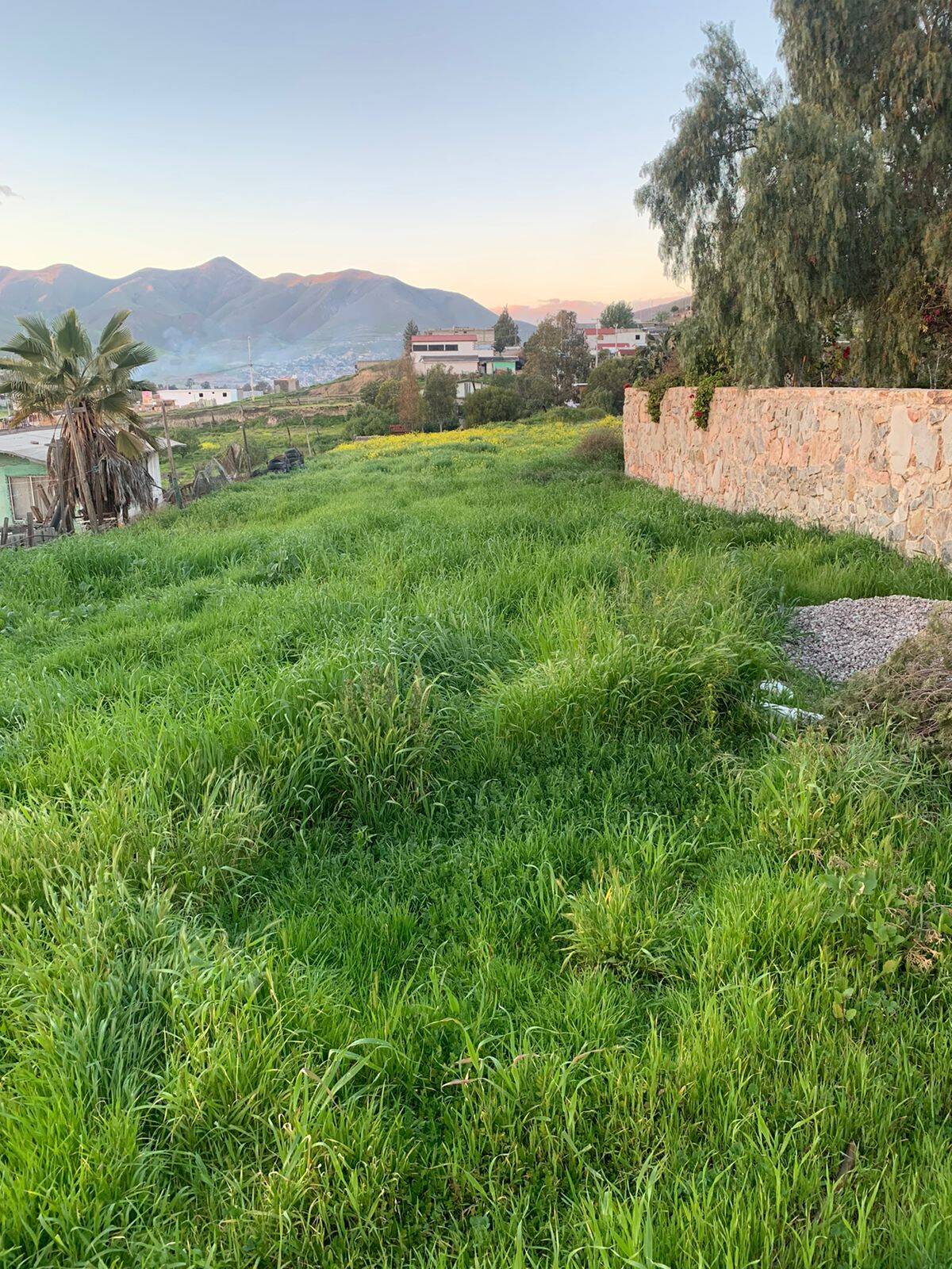 #4707 - Área para Venta en Tijuana - BC