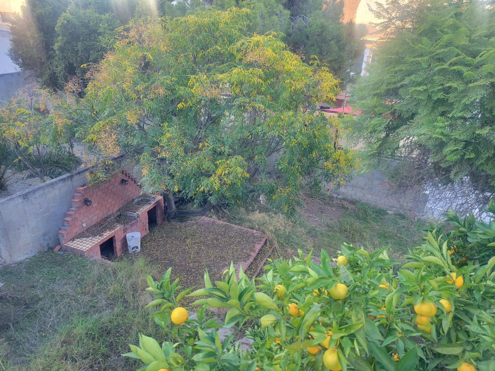 #5599 - Área para Venta en Tijuana - BC