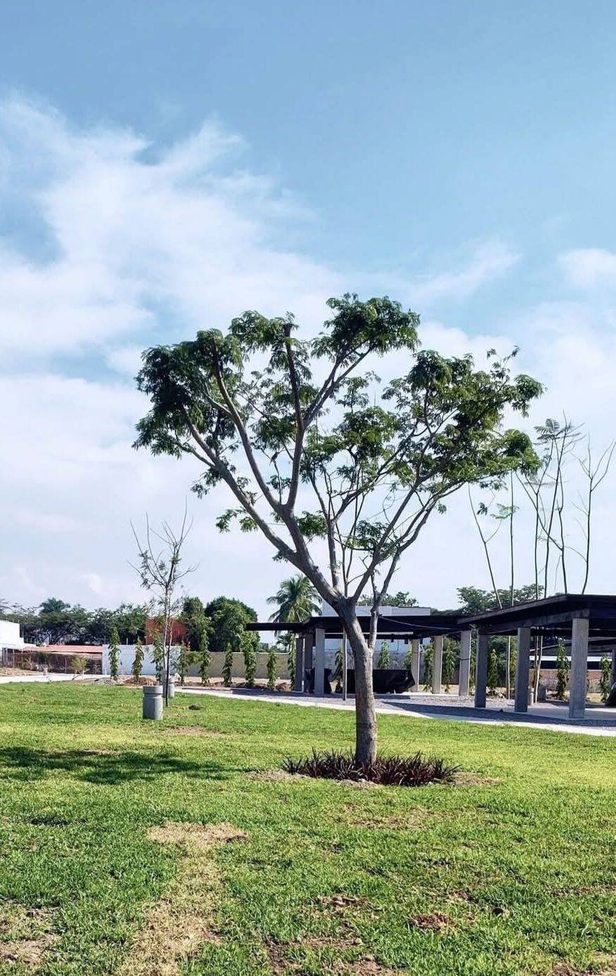 #5643 - Área para Venta en Colima - CL