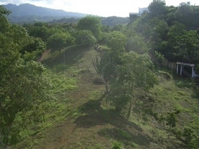 #710 - Área para Venta en Bahía de Banderas - NT