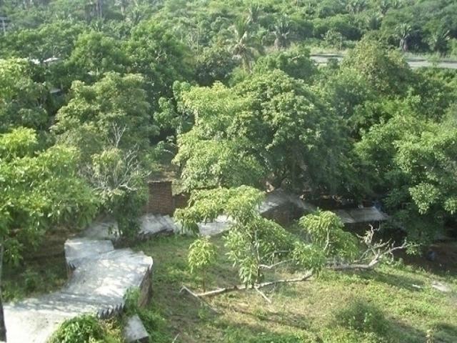 #710 - Área para Venta en Bahía de Banderas - NT