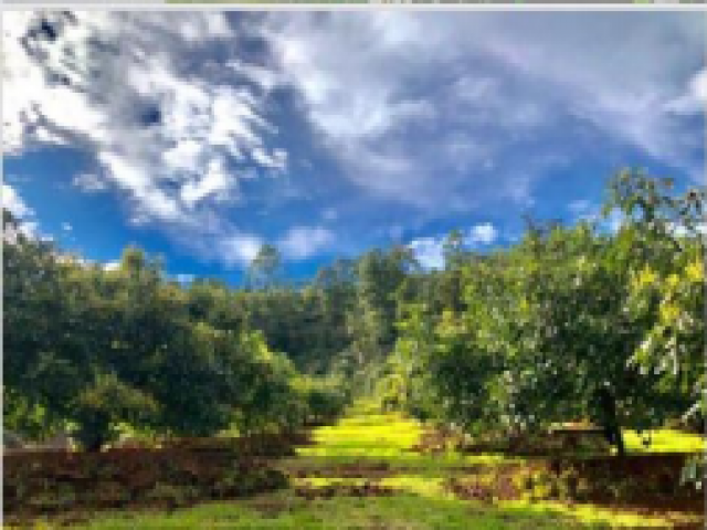 Terreno para Venta en Pátzcuaro - 5