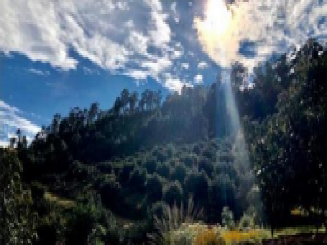 Terreno para Venta en Pátzcuaro - 4