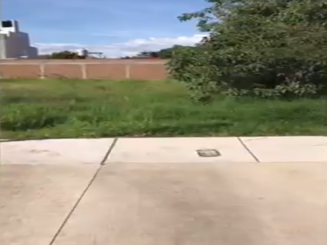 Área para Venta en Zapotlán el Grande - 4