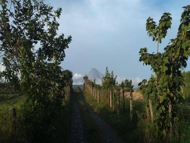 #1920 - Área para Venta en Comala - CL