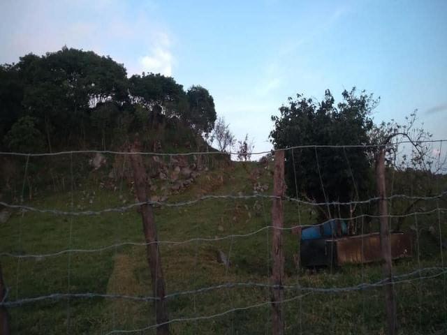 Área para Venta en Comala - 4