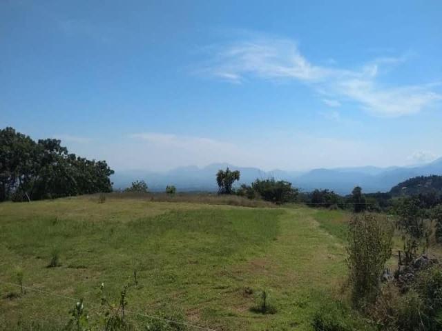 #1924 - Terreno para Venta en Comala - CL