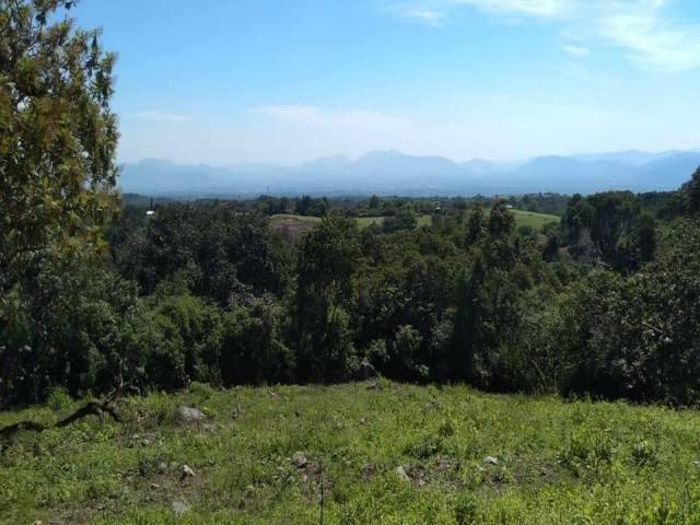 #1924 - Terreno para Venta en Comala - CL