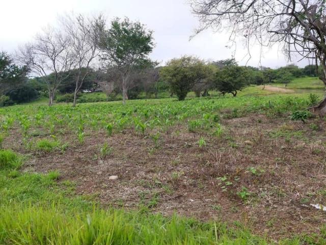 Área para Venta en Cuauhtémoc - 5