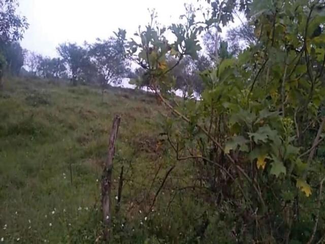 #1932 - Área para Venta en Comala - CL