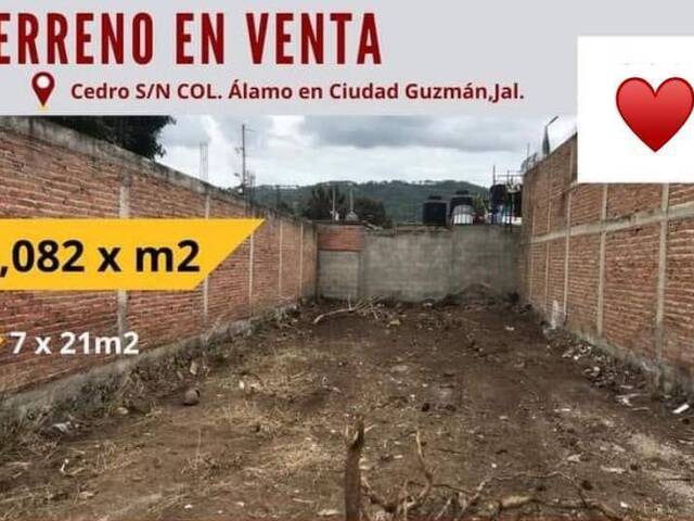 #2330 - Terreno para Venta en Zapotlán el Grande - JC - 1