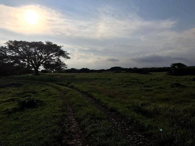 Terreno para Venta en Cuauhtémoc - 4
