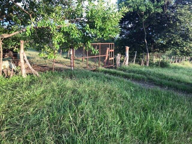 #2334 - Terreno para Venta en Cuauhtémoc - CL - 2