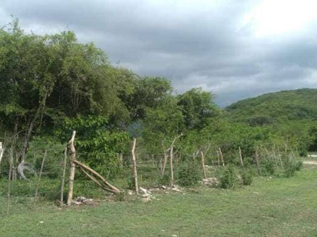 #2336 - Área para Venta en Colima - CL