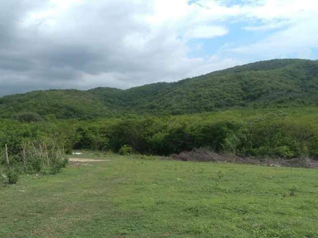 #2336 - Área para Venta en Colima - CL