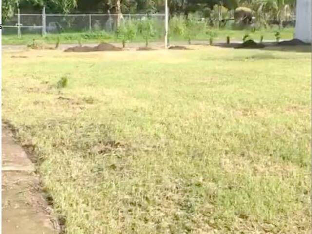 #2921 - Terreno para Venta en Colima - CL