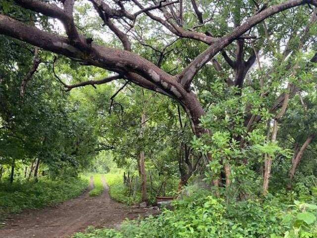 #2922 - Terreno para Venta en Colima - CL