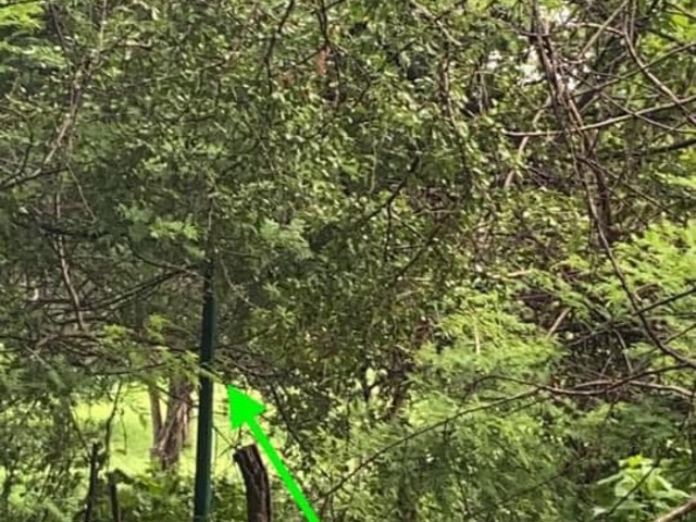 Terreno para Venta en Colima - 4
