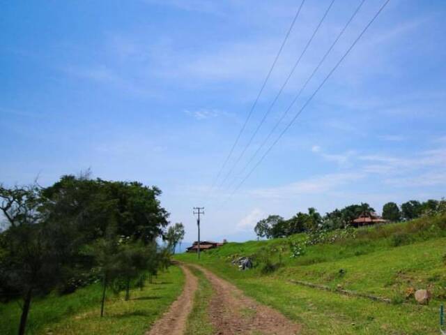 Terreno para Venta en Tonila - 5