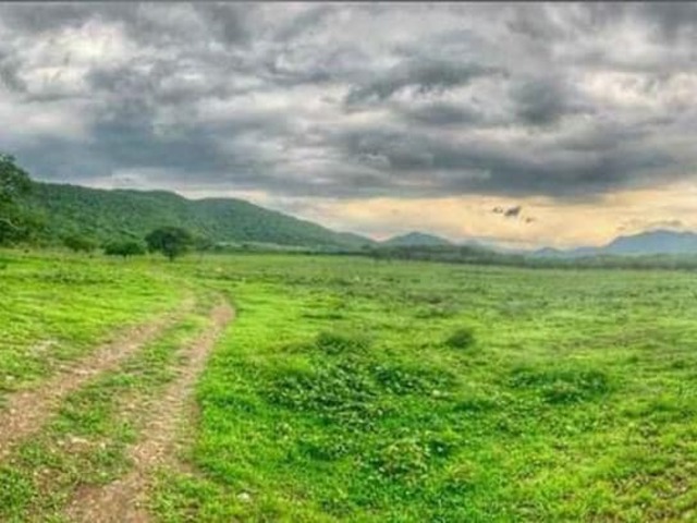 RANCHO para Venta en Colima - 4