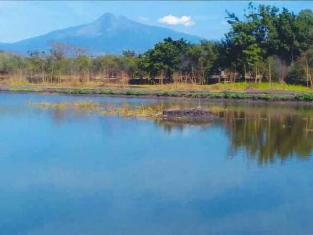 RANCHO para Venta en Colima - 5