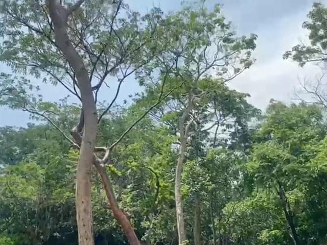 #2964 - Terreno para Venta en Colima - CL