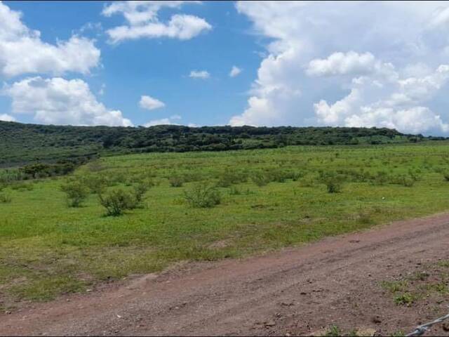 #3010 - Terreno para Venta en Tenamaxtlán - JC - 2