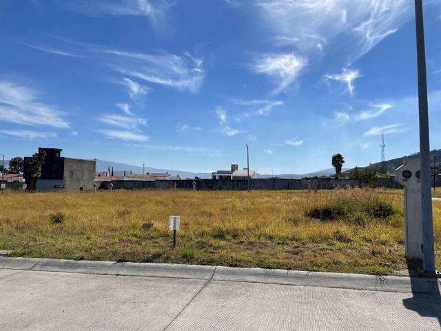 Terreno para Venta en Tlajomulco de Zúñiga - 4