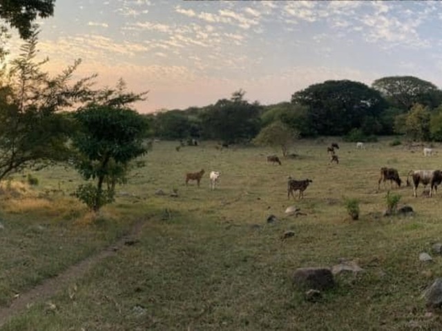 Venta en LA JOYA - Villa de Alvarez