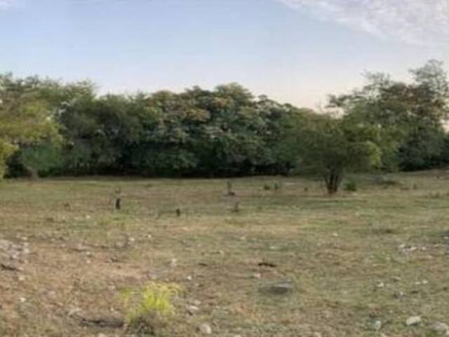 #3415 - Terreno para Venta en Villa de Alvarez - CL - 3