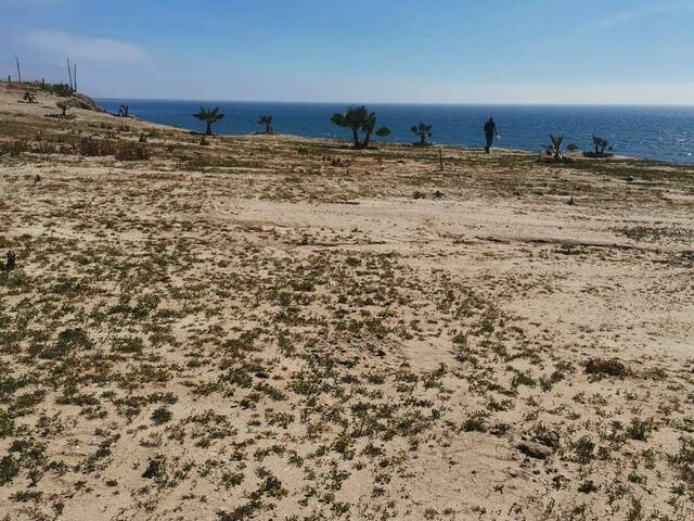 Terreno para Venta en Playas de Rosarito - 5