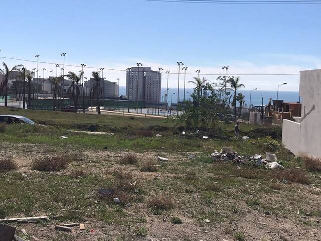 #3231 - Área para Venta en Playas de Rosarito - BC