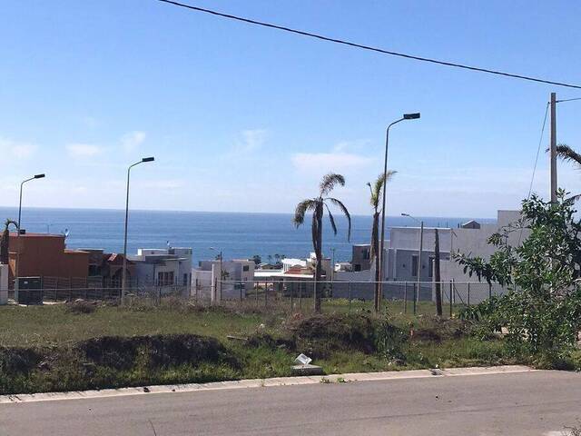 Área para Venta en Playas de Rosarito - 4