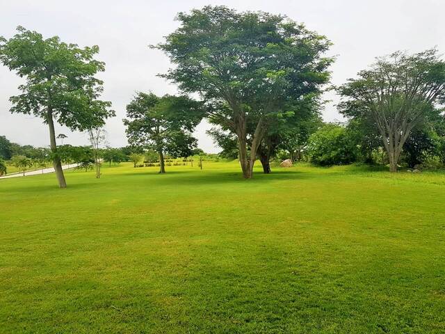 Terreno para Venta en Cuauhtémoc - 4
