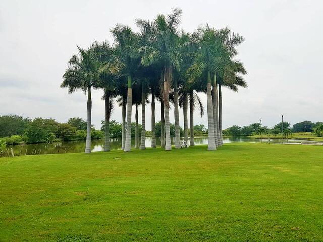 Terreno para Venta en Cuauhtémoc - 5