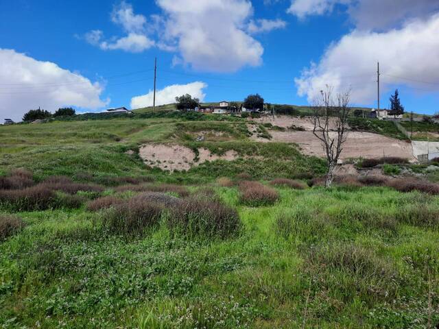 Terreno para Venta en Tijuana - 4