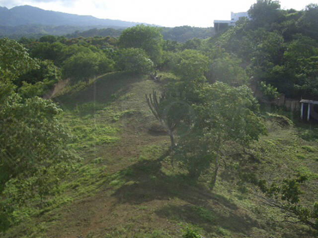 #4862 - Terreno para Venta en Bahía de Banderas - NT - 3