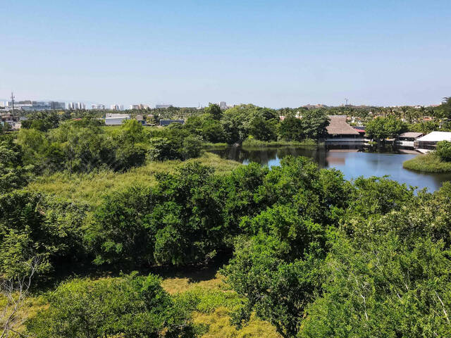 Área para Venta en Bahía de Banderas - 4