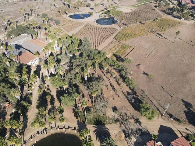 Área para Venta en Tecate - 4