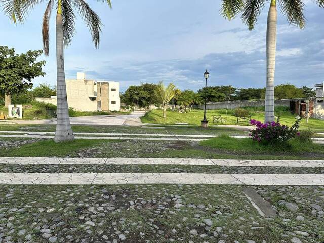 Área para Venta en Colima - 4
