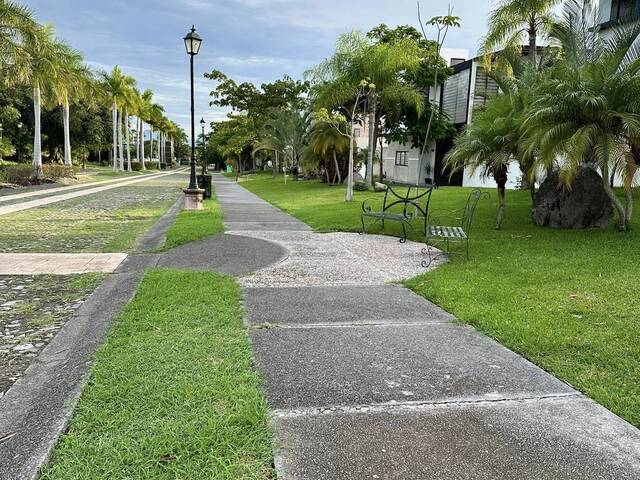 Área para Venta en Colima - 5