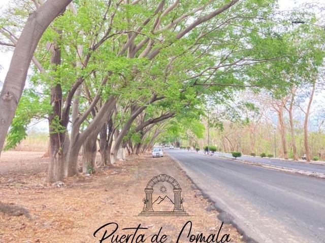 Área para Venta en Comala - 5